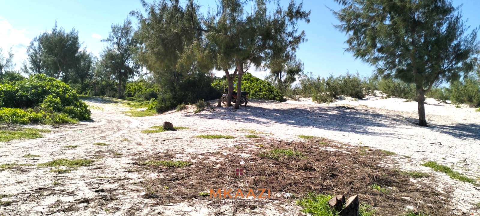 35 Acres Beachfront Land for Sale in Chumani 35-acre beachfront land for sale in Chumani featuring pristine white sandy beaches, panoramic ocean views, freehold title, and exceptional investment potential.