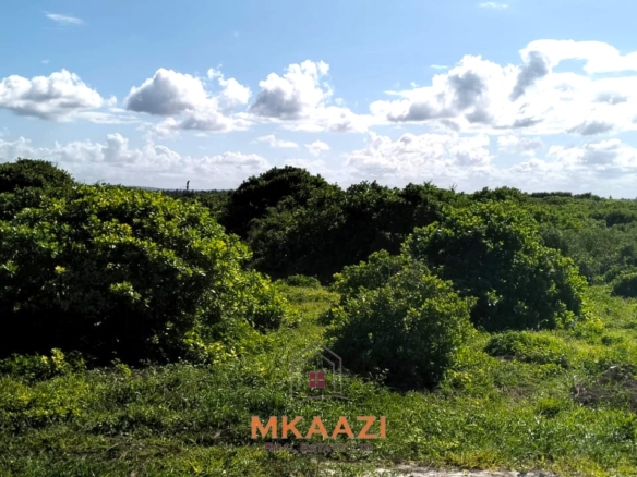 35-acre beachfront land for sale in Chumani featuring pristine white sandy beaches, panoramic ocean views, freehold title, and exceptional investment potential.