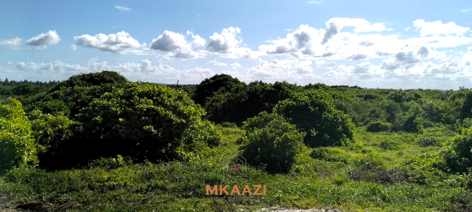 35 Acres Beachfront Land for Sale in Chumani 35-acre beachfront land for sale in Chumani featuring pristine white sandy beaches, panoramic ocean views, freehold title, and exceptional investment potential.