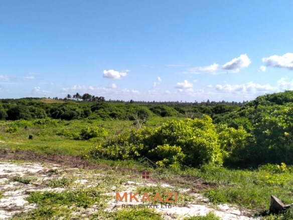 35-acre beachfront land for sale in Chumani featuring pristine white sandy beaches, panoramic ocean views, freehold title, and exceptional investment potential.