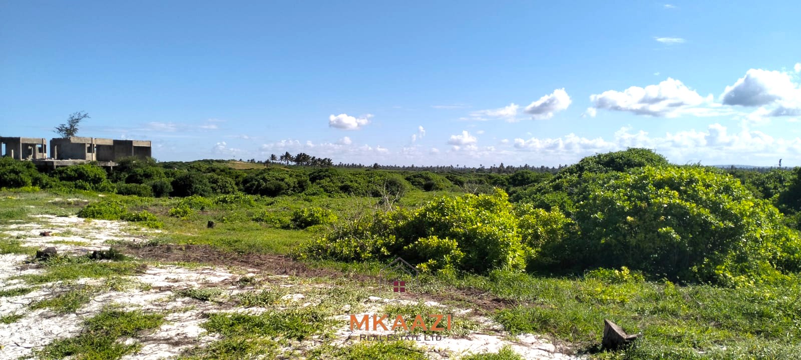 35 Acres Beachfront Land for Sale in Chumani 35-acre beachfront land for sale in Chumani featuring pristine white sandy beaches, panoramic ocean views, freehold title, and exceptional investment potential.