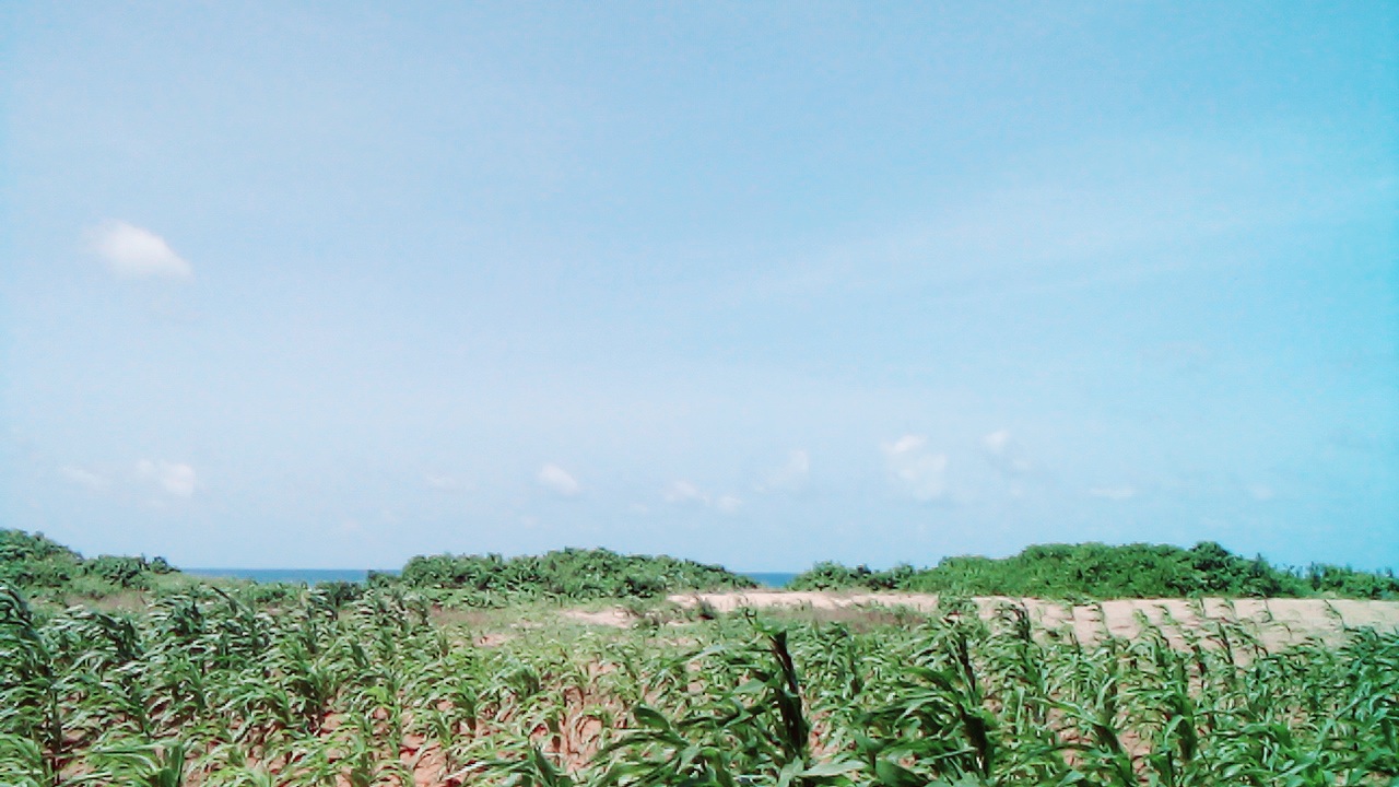1 Acre Ocean View Land for Sale in Chumani Roka 1 Acre second-row ocean view property for sale in Chumani Roka Beach with freehold title, all-weather roads, and prime coastal investment potential.