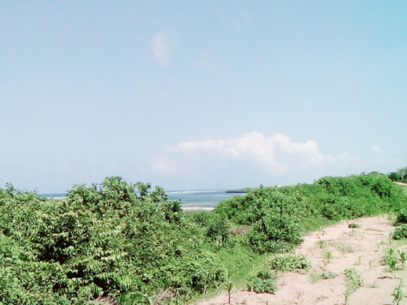 1 Acre second-row ocean view property for sale in Chumani Roka Beach with freehold title, all-weather roads, and prime coastal investment potential.