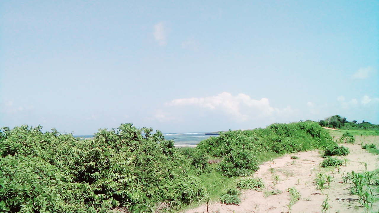 1 Acre Ocean View Land for Sale in Chumani Roka 1 Acre second-row ocean view property for sale in Chumani Roka Beach with freehold title, all-weather roads, and prime coastal investment potential.