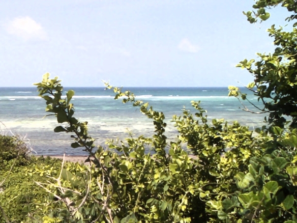1 Acre second-row ocean view property for sale in Chumani Roka Beach with freehold title, all-weather roads, and prime coastal investment potential.