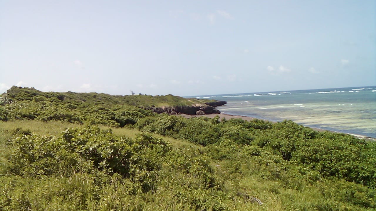 1 Acre Ocean View Land for Sale in Chumani Roka 1 Acre second-row ocean view property for sale in Chumani Roka Beach with freehold title, all-weather roads, and prime coastal investment potential.