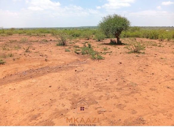 130-acre land for sale in Rumuruti with tarmac road frontage, clean title deeds, and agricultural investment potential.