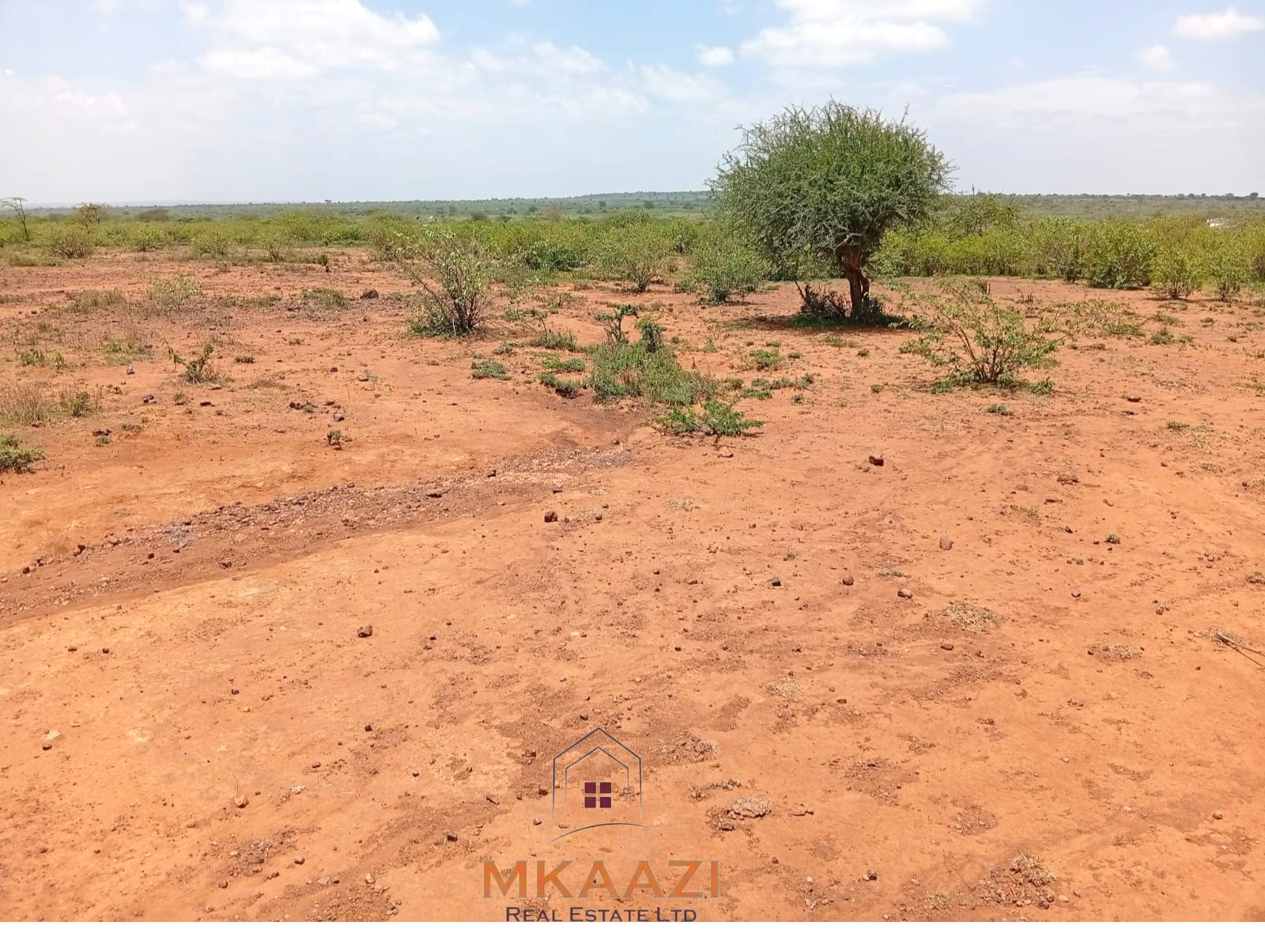130-acre land for sale in Rumuruti with tarmac road frontage, clean title deeds, and agricultural investment potential.