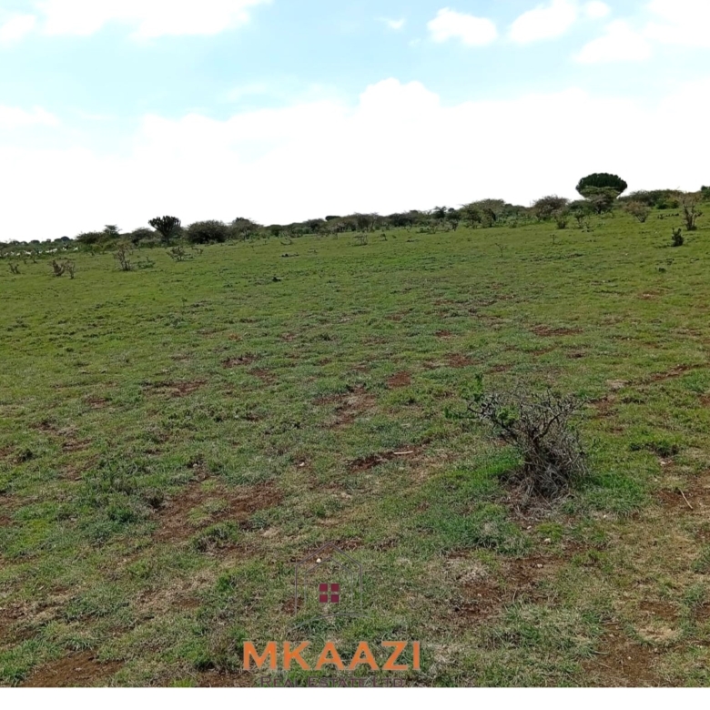 130-acre land for sale in Rumuruti with tarmac road frontage, clean title deeds, and agricultural investment potential.