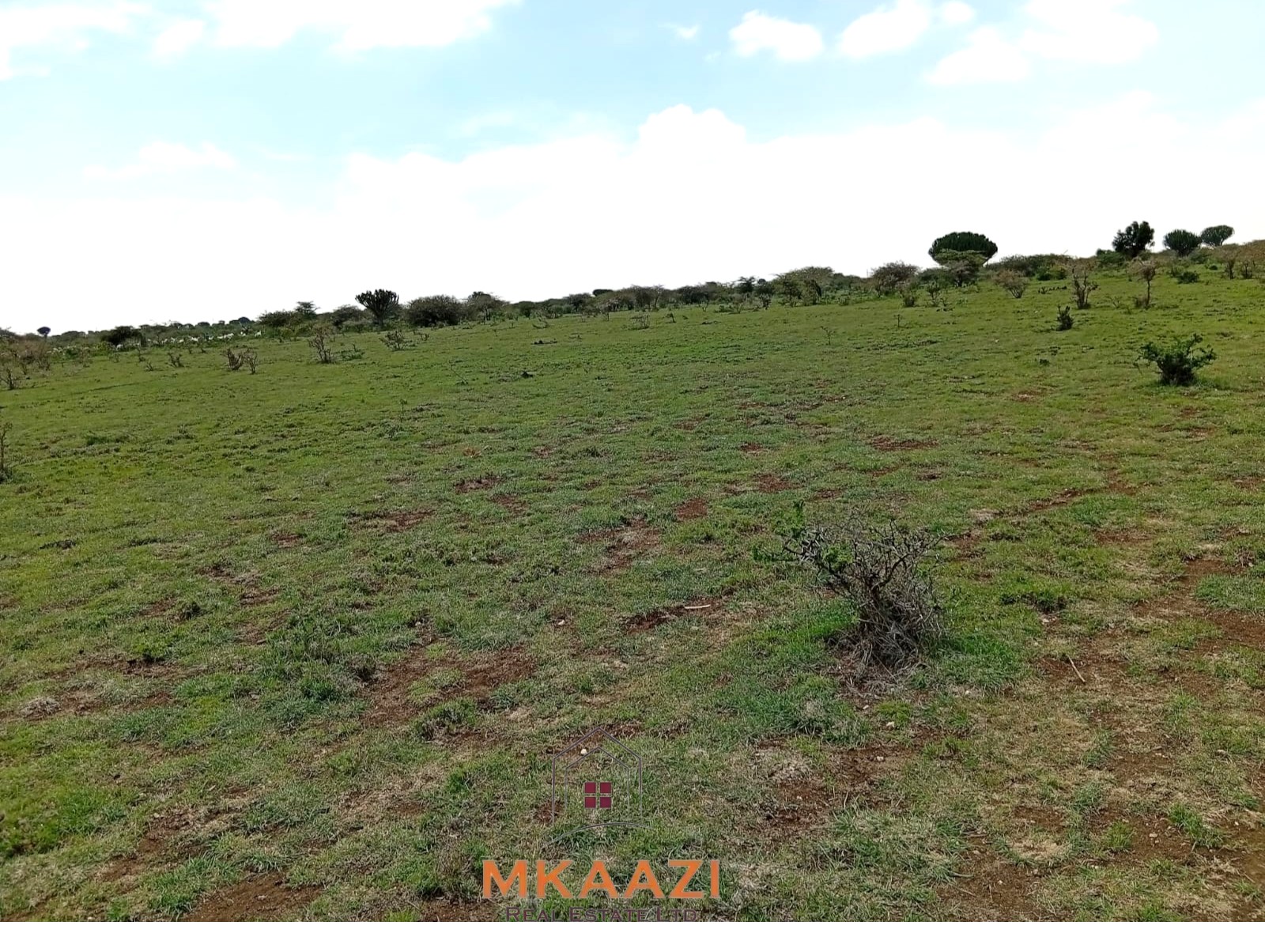 130-acre land for sale in Rumuruti with tarmac road frontage, clean title deeds, and agricultural investment potential.