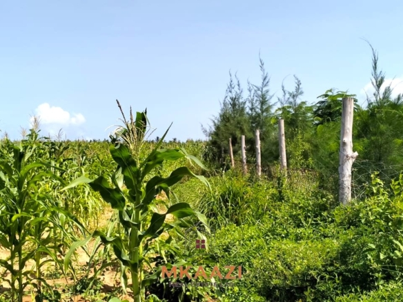 1.45 acres prime land for sale in Chumani Roka Beach Kilifi near the beach with freehold title and all-weather road access.