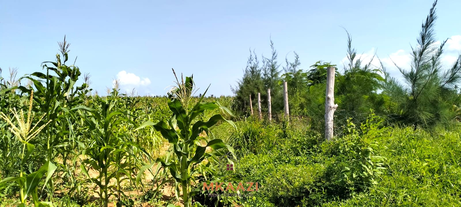 1.45 Acres Land for Sale in Chumani Kilifi 1.45 acres prime land for sale in Chumani Roka Beach Kilifi near the beach with freehold title and all-weather road access.
