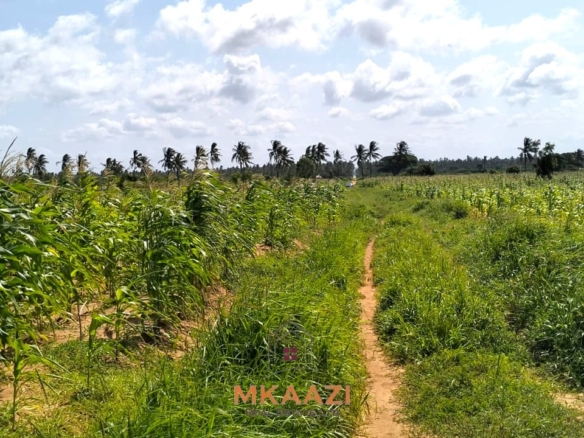 1.45 acres prime land for sale in Chumani Roka Beach Kilifi near the beach with freehold title and all-weather road access.