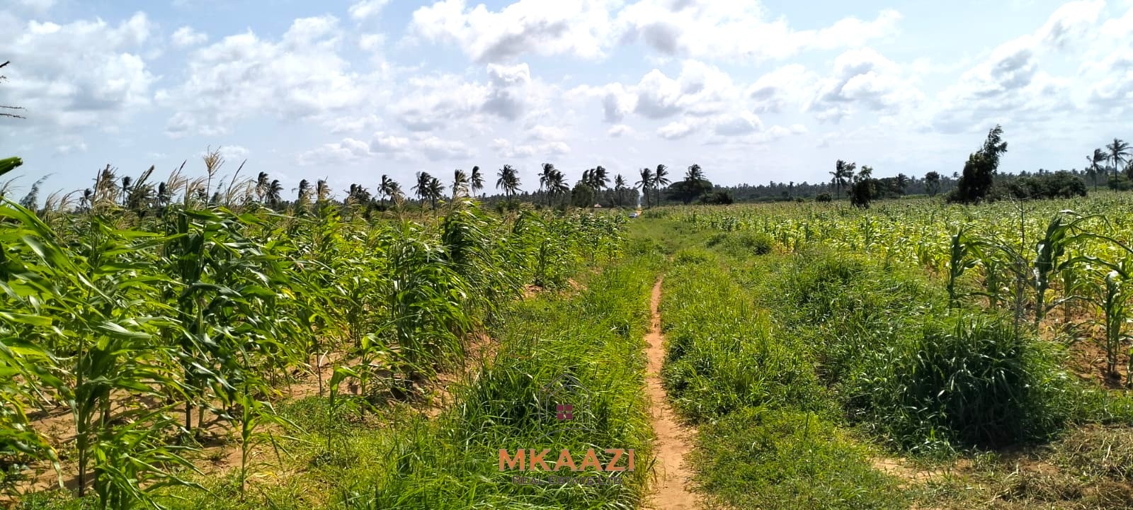1.45 Acres Land for Sale in Chumani Kilifi 1.45 acres prime land for sale in Chumani Roka Beach Kilifi near the beach with freehold title and all-weather road access.