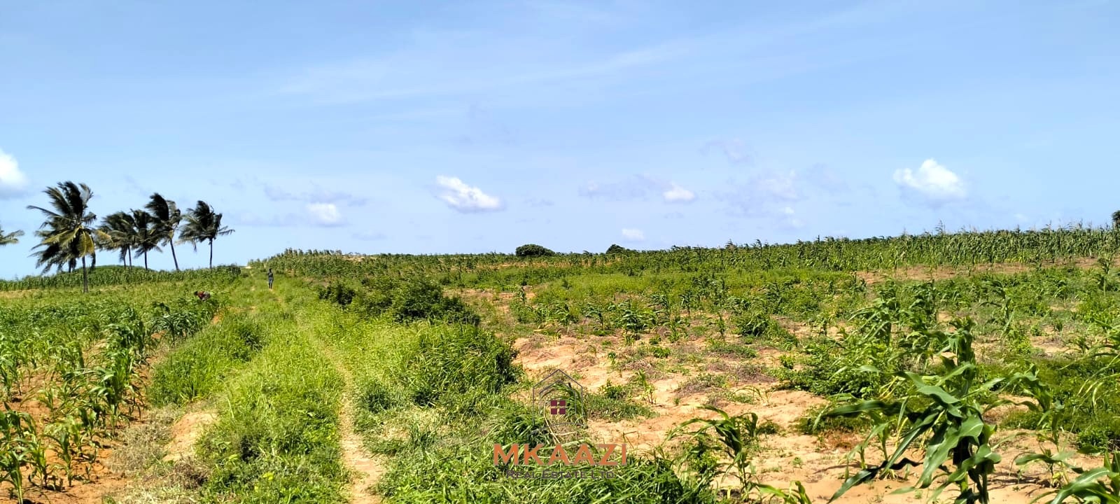 1.45 acres prime land for sale in Chumani Roka Beach Kilifi near the beach with freehold title and all-weather road access.
