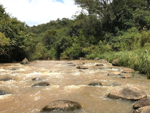Luxury 1,800-acre ranch for sale in Naivasha featuring wildlife conservancy, river frontage, private airstrip, luxury cottages, and eco-tourism investment potential.