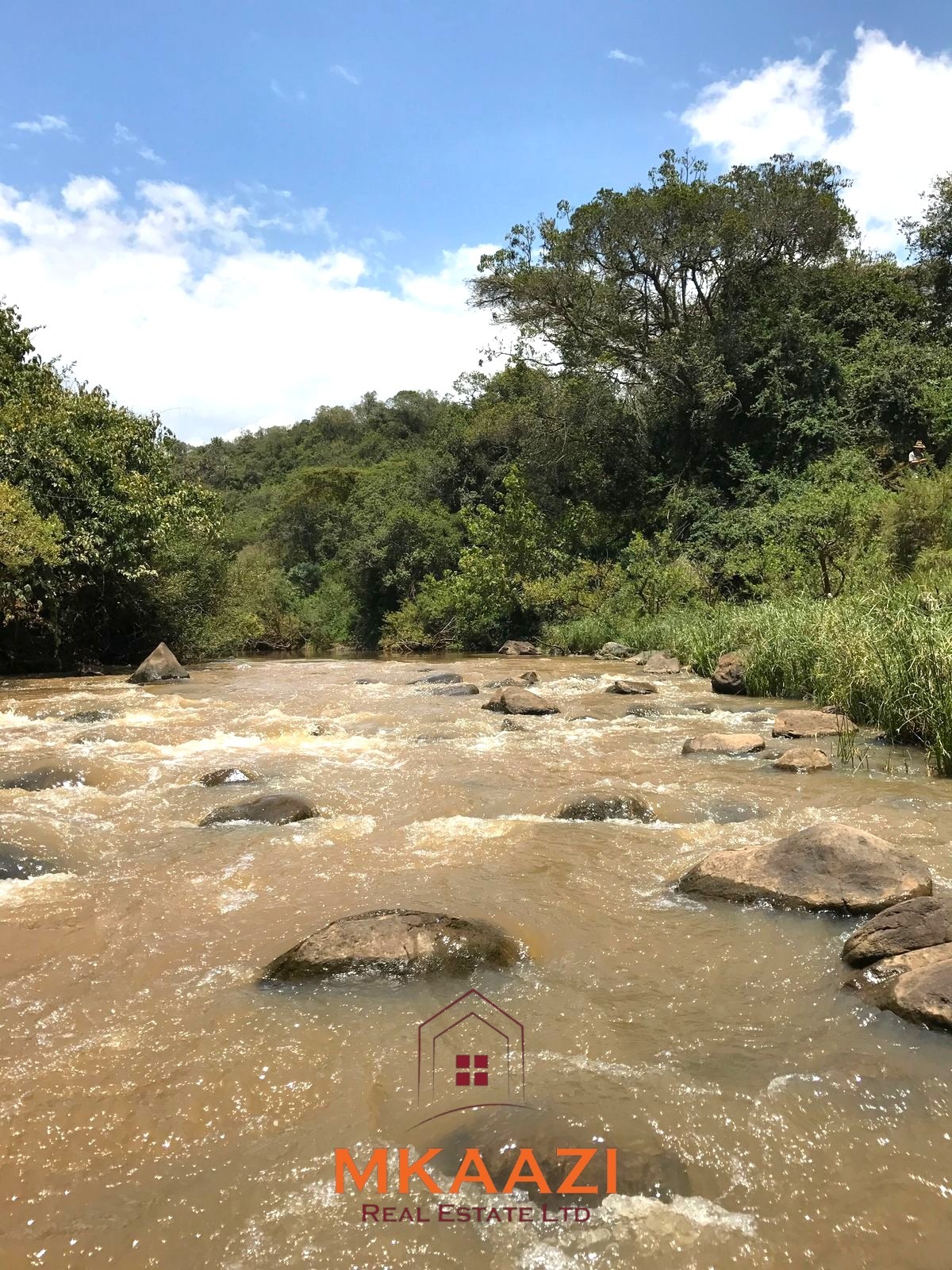 Luxury 1,800-acre ranch for sale in Naivasha featuring wildlife conservancy, river frontage, private airstrip, luxury cottages, and eco-tourism investment potential.