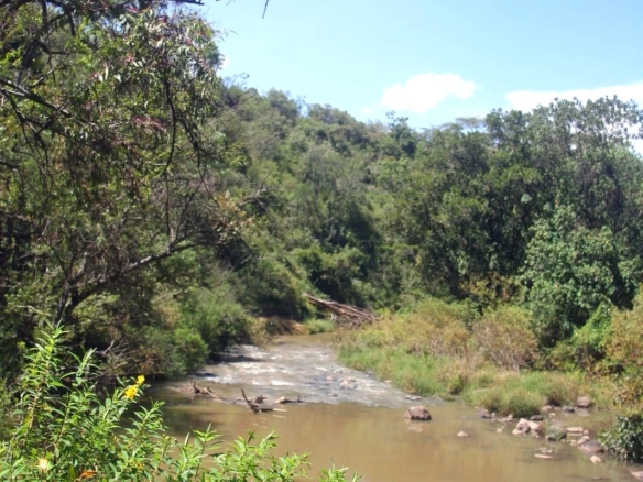 Luxury 1,800-acre ranch for sale in Naivasha featuring wildlife conservancy, river frontage, private airstrip, luxury cottages, and eco-tourism investment potential.