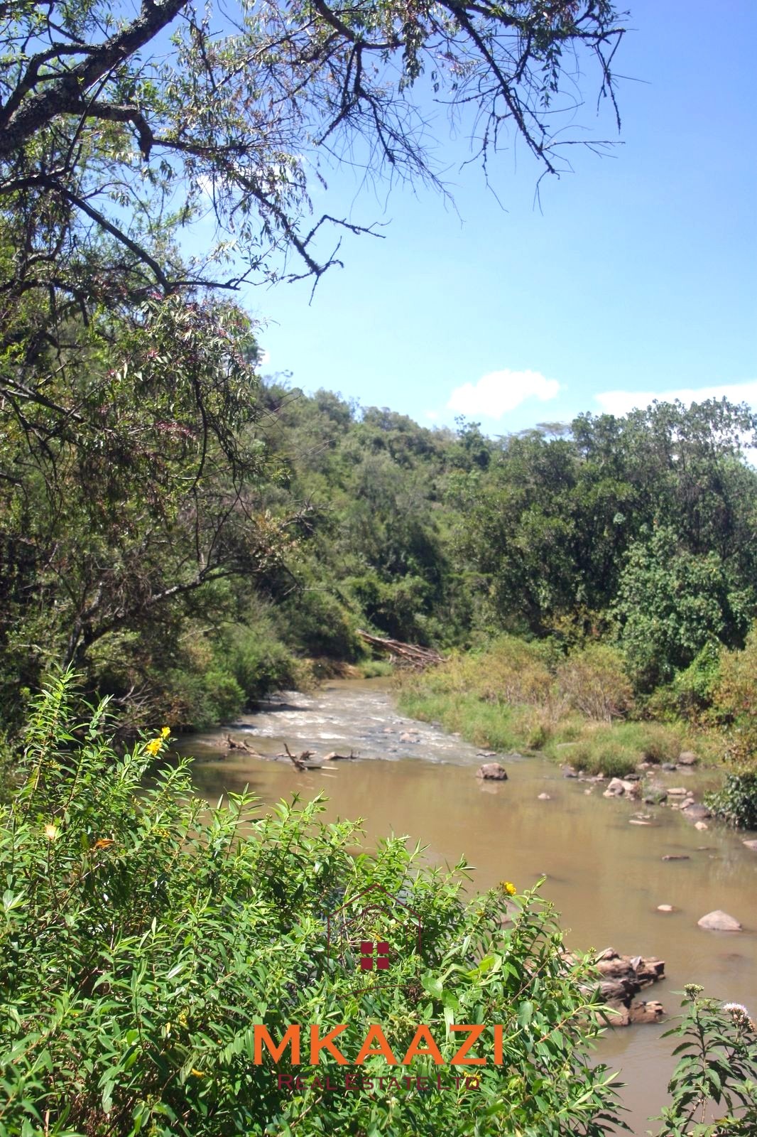 Luxury 1,800-acre ranch for sale in Naivasha featuring wildlife conservancy, river frontage, private airstrip, luxury cottages, and eco-tourism investment potential.