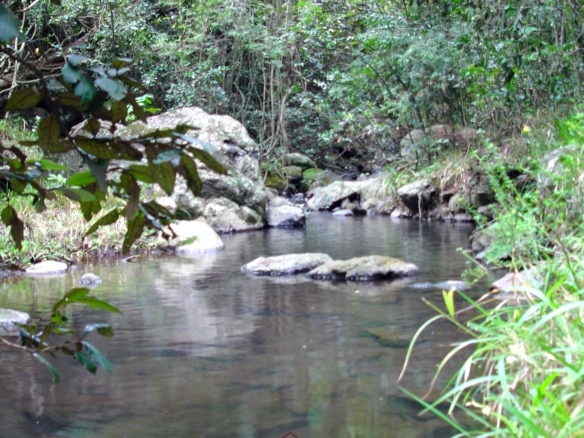 Luxury 1,800-acre ranch for sale in Naivasha featuring wildlife conservancy, river frontage, private airstrip, luxury cottages, and eco-tourism investment potential.