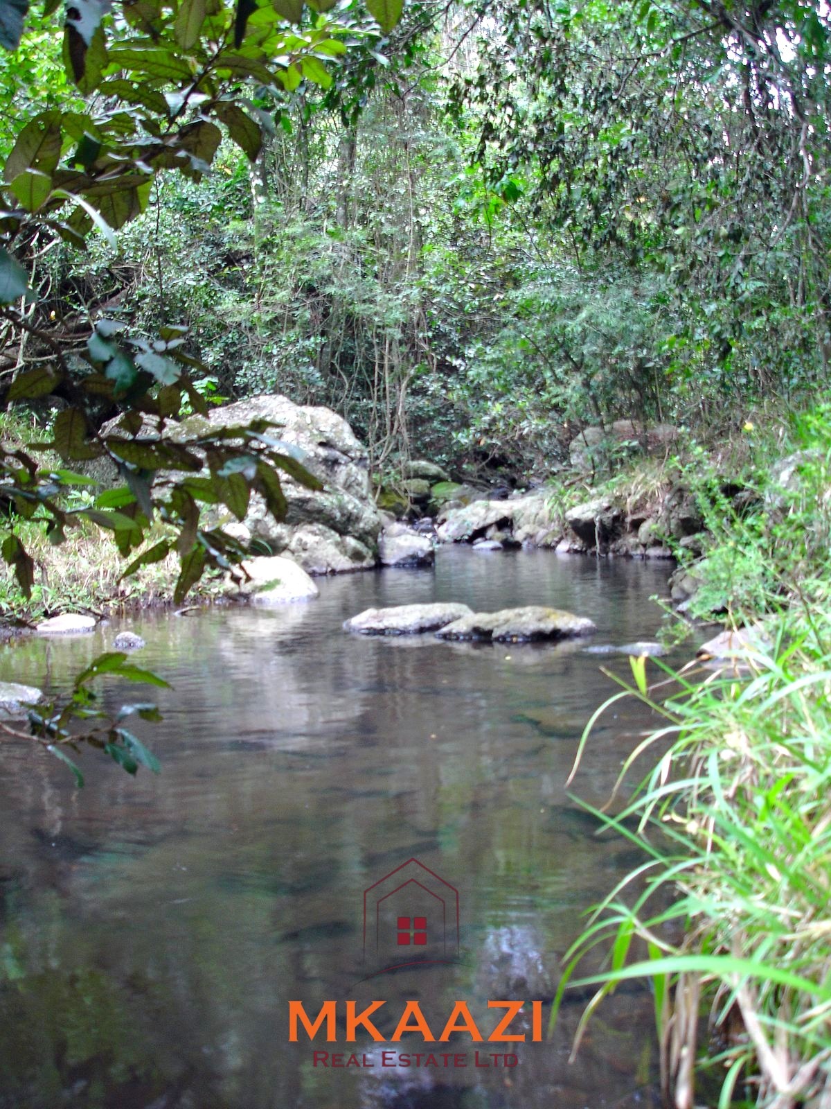 Luxury 1,800-acre ranch for sale in Naivasha featuring wildlife conservancy, river frontage, private airstrip, luxury cottages, and eco-tourism investment potential.
