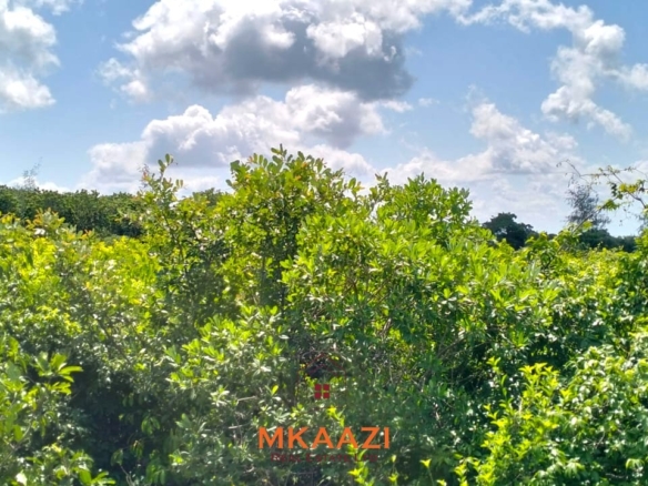 12.3 acres of fertile freehold land for sale in Kakuyuni opposite Arabuko Forest with road frontage, all-weather access, and development potential.