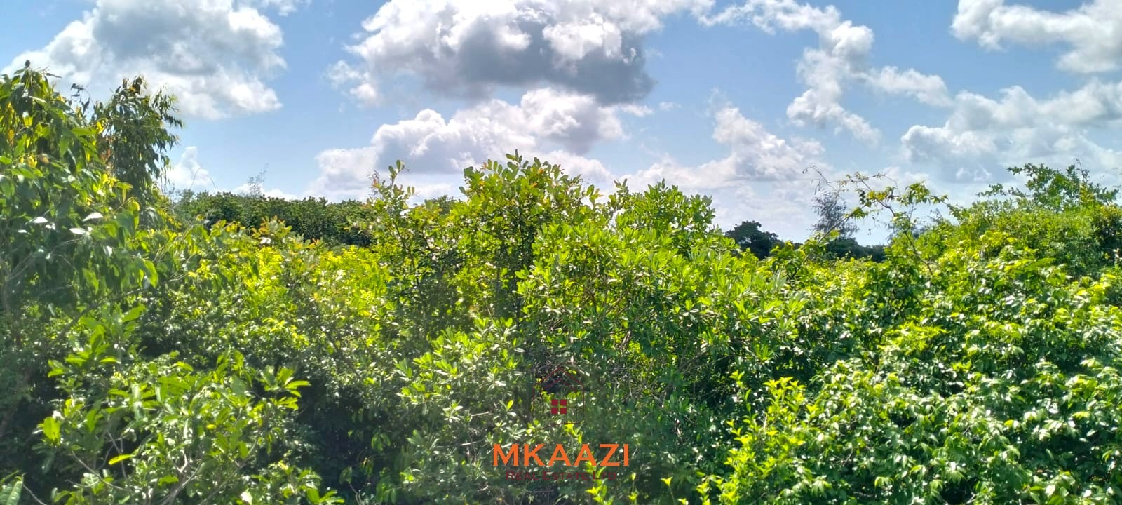 12.3 acres of fertile freehold land for sale in Kakuyuni opposite Arabuko Forest with road frontage, all-weather access, and development potential.