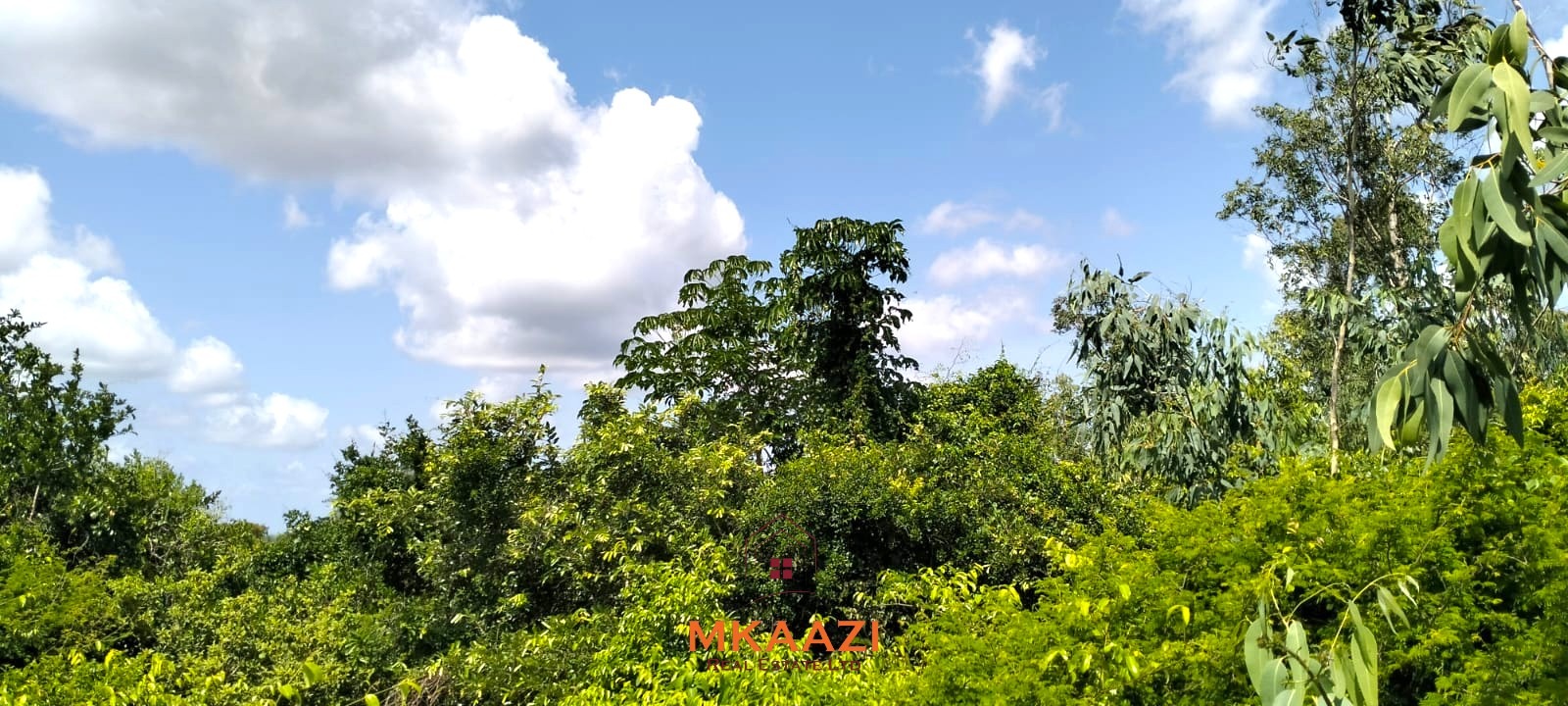 12.3 acres of fertile freehold land for sale in Kakuyuni opposite Arabuko Forest with road frontage, all-weather access, and development potential.