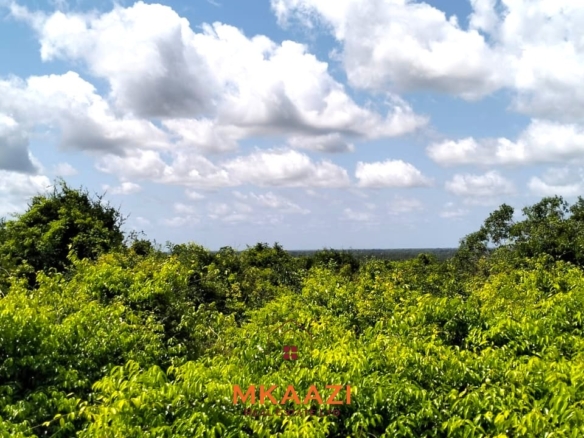 12.3 acres of fertile freehold land for sale in Kakuyuni opposite Arabuko Forest with road frontage, all-weather access, and development potential.