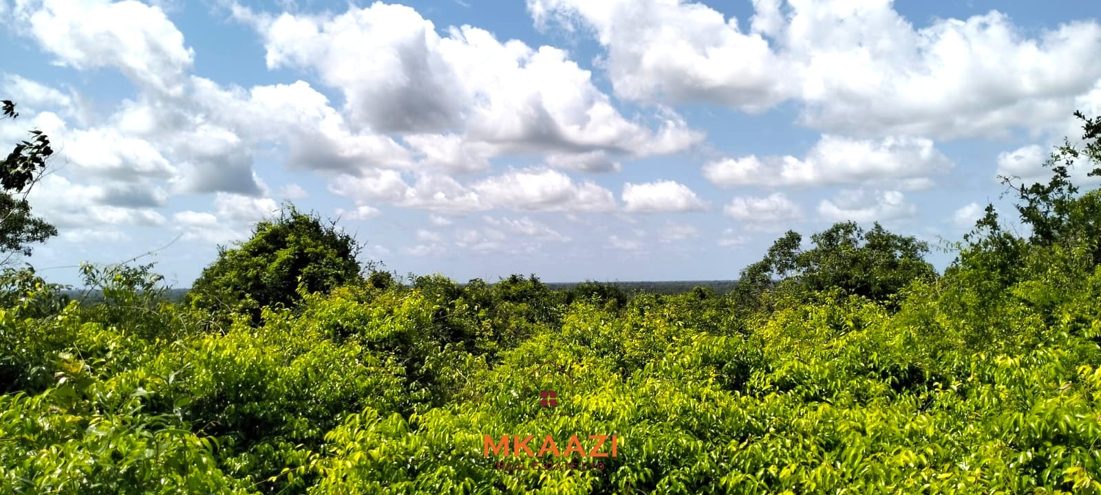 12.3 acres of fertile freehold land for sale in Kakuyuni opposite Arabuko Forest with road frontage, all-weather access, and development potential.