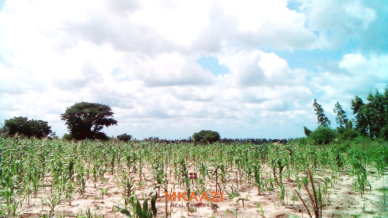 15 acres of fertile road frontage land for sale in Kakuyuni near Arabuko Primary with freehold title and all-weather road access.
