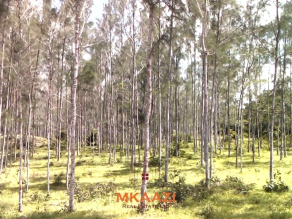 15 acres of fertile road frontage land for sale in Kakuyuni near Arabuko Primary with freehold title and all-weather road access.