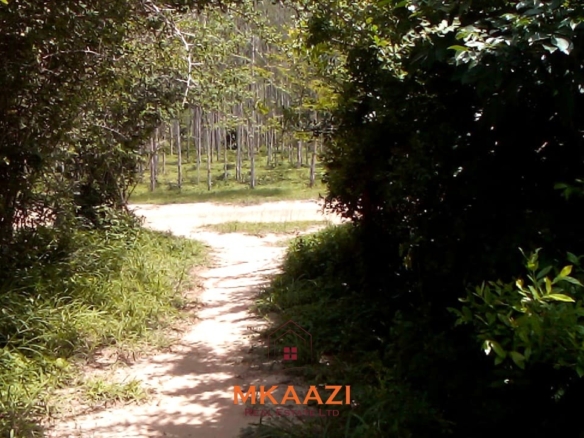 15 acres of fertile road frontage land for sale in Kakuyuni near Arabuko Primary with freehold title and all-weather road access.