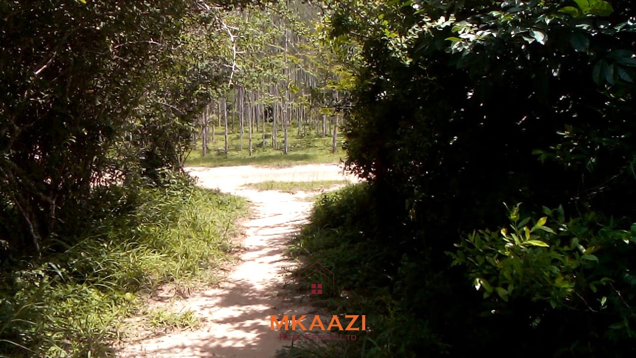 15 acres of fertile road frontage land for sale in Kakuyuni near Arabuko Primary with freehold title and all-weather road access.