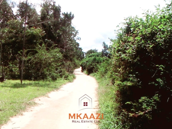 15 acres of fertile road frontage land for sale in Kakuyuni near Arabuko Primary with freehold title and all-weather road access.