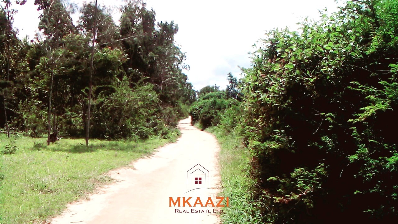 15 acres of fertile road frontage land for sale in Kakuyuni near Arabuko Primary with freehold title and all-weather road access.