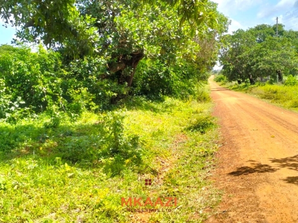 Prime 2.5-acre freehold land for sale in Kakuyuni near Arabuko Forest with road frontage, mature trees, and excellent investment potential.