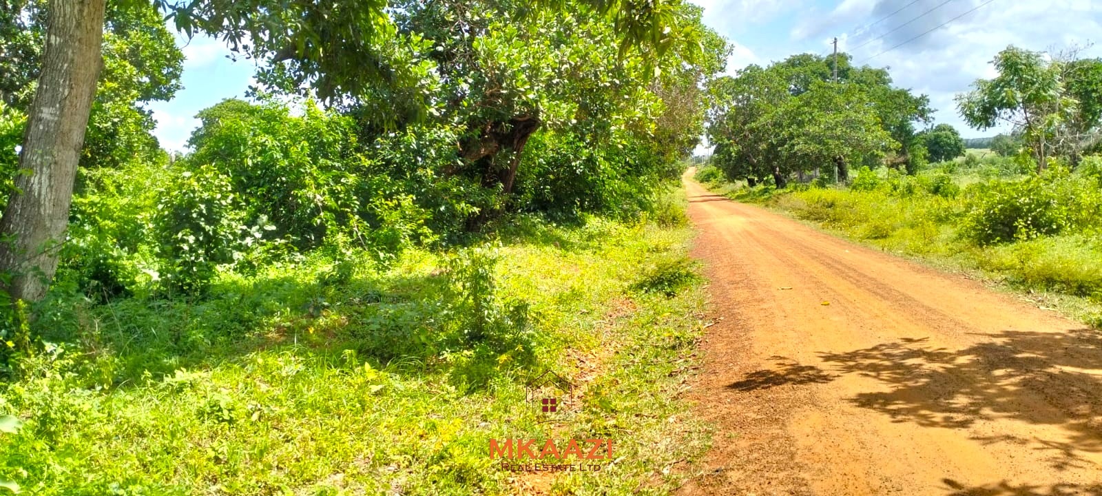 Prime 2.5-acre freehold land for sale in Kakuyuni near Arabuko Forest with road frontage, mature trees, and excellent investment potential.