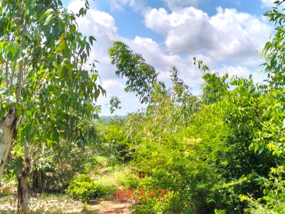 Prime 2.5-acre freehold land for sale in Kakuyuni near Arabuko Forest with road frontage, mature trees, and excellent investment potential.