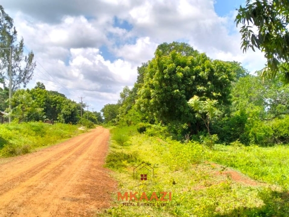 Prime 2.5-acre freehold land for sale in Kakuyuni near Arabuko Forest with road frontage, mature trees, and excellent investment potential.