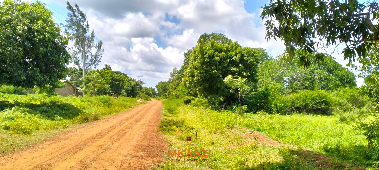 Prime 2.5-acre freehold land for sale in Kakuyuni near Arabuko Forest with road frontage, mature trees, and excellent investment potential.