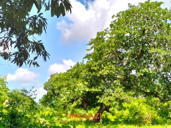 Prime 2.5-acre freehold land for sale in Kakuyuni near Arabuko Forest with road frontage, mature trees, and excellent investment potential.