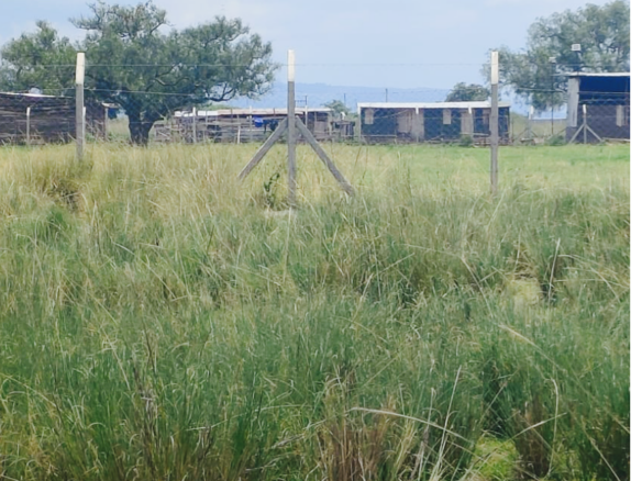 Prime quarter-acre residential plot for sale in Barnabas Nakuru near Neocrest Homes with utilities, clean title, and excellent road access.