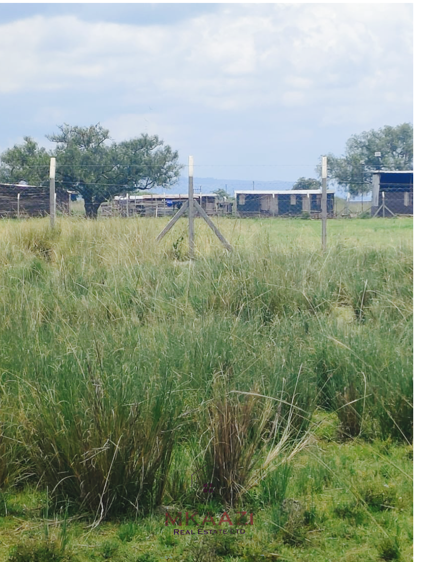 Prime quarter-acre residential plot for sale in Barnabas Nakuru near Neocrest Homes with utilities, clean title, and excellent road access.
