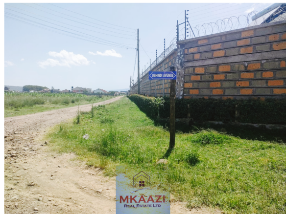 Prime quarter-acre residential plot for sale in Barnabas Nakuru near Neocrest Homes with utilities, clean title, and excellent road access.