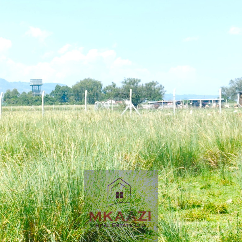 Prime quarter-acre residential plot for sale in Barnabas Nakuru near Neocrest Homes with utilities, clean title, and excellent road access.