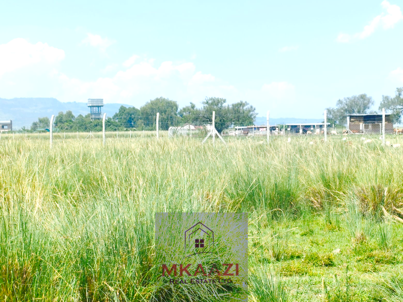 Prime quarter-acre residential plot for sale in Barnabas Nakuru near Neocrest Homes with utilities, clean title, and excellent road access.