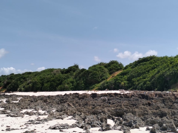 1 Acre second-row ocean view property for sale in Chumani Roka Beach with freehold title, all-weather roads, and prime coastal investment potential.