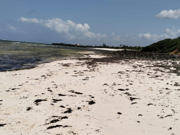 1 Acre second-row ocean view property for sale in Chumani Roka Beach with freehold title, all-weather roads, and prime coastal investment potential.