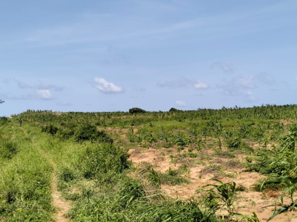1 Acre second-row ocean view property for sale in Chumani Roka Beach with freehold title, all-weather roads, and prime coastal investment potential.